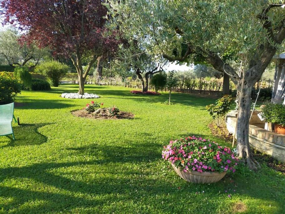 Paz Y Relax En El Campo Apartment Villareia Екстериор снимка